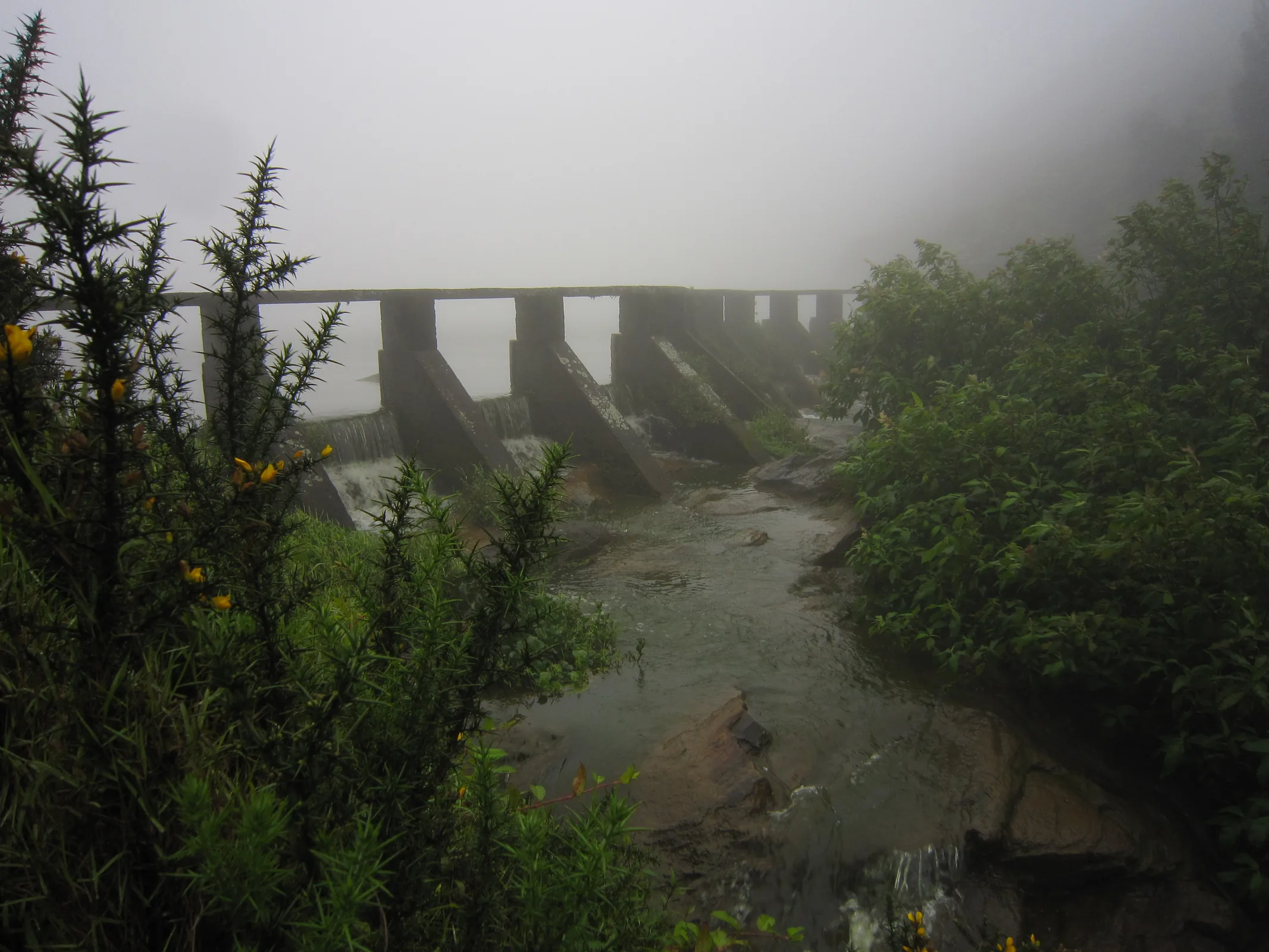 Gregory Lake හි නිල් ජලය